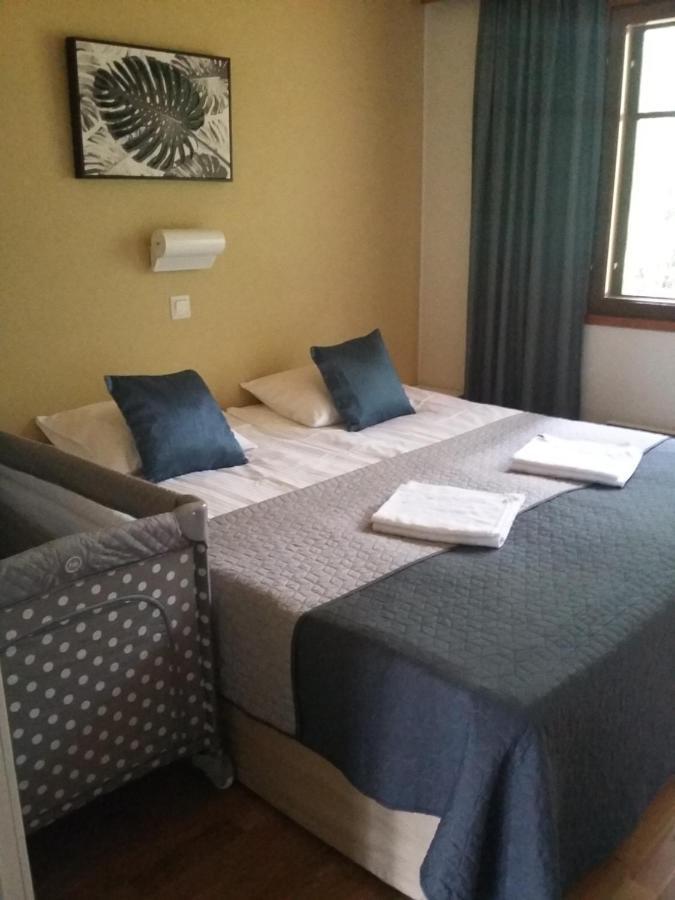 אימטרה Saimaa Style Spa Chalet מראה חיצוני תמונה